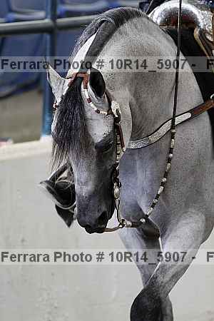 Proof 10r14_5907