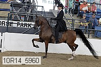 10r14_5960 proof