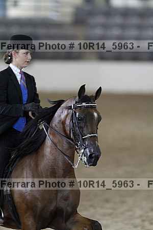 Proof 10r14_5963