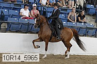 10r14_5965 proof