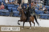 10r14_5973 proof