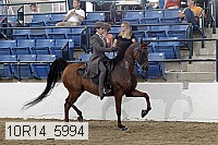 10r14_5994 proof