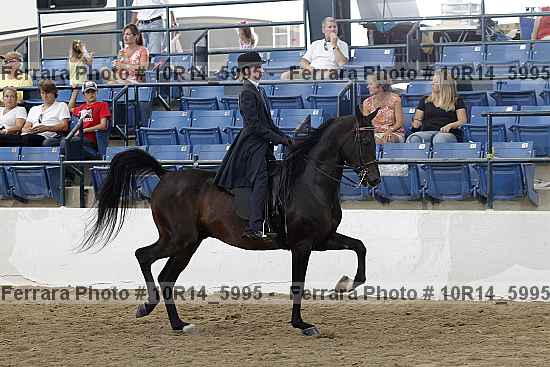Proof 10r14_5995