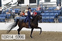 10r14_5996 proof