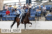 10r14_5997 proof