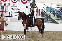 10r14_6000 proof