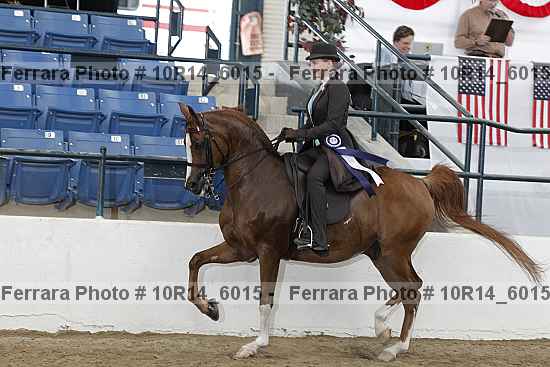 Proof 10r14_6015