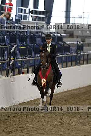 Proof 10r14_6018