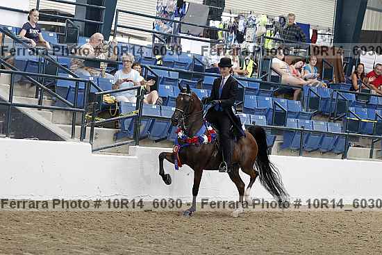 Proof 10r14_6030