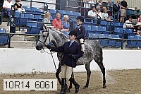 10r14_6061 proof