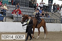 10r14_6067 proof