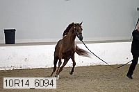 10r14_6094 proof