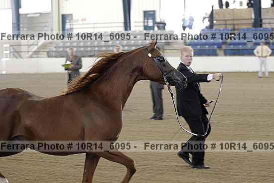 Proof 10r14_6095