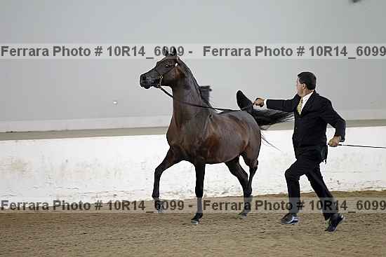 Proof 10r14_6099