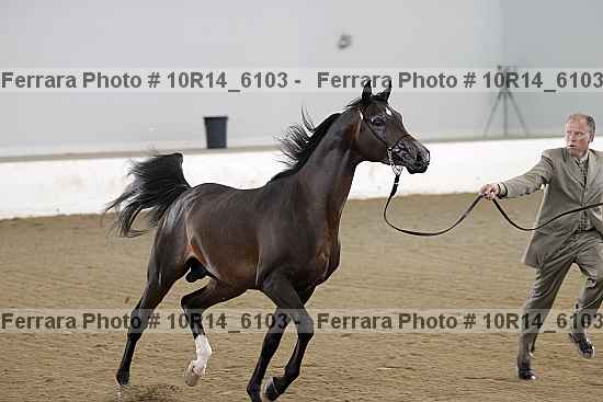 Proof 10r14_6103