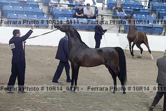 Proof 10r14_6111