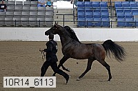 10r14_6113 proof