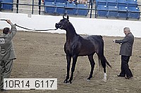 10r14_6117 proof