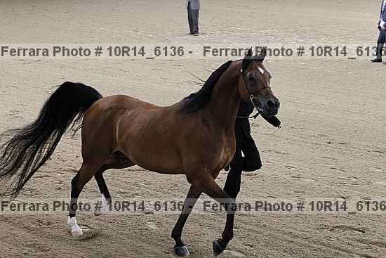 Proof 10r14_6136