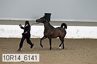 10r14_6141 proof