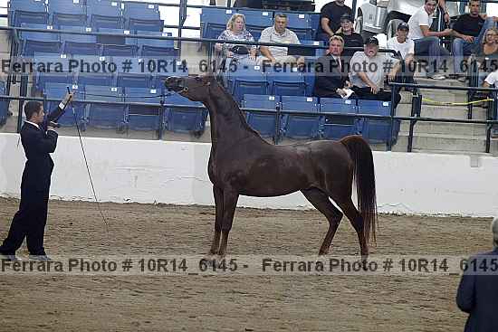 Proof 10r14_6145
