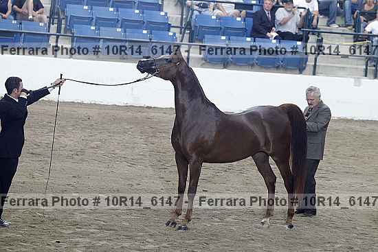 Proof 10r14_6147