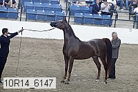 10r14_6147 proof