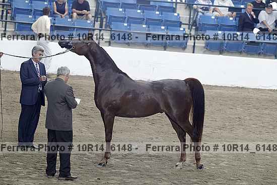 Proof 10r14_6148