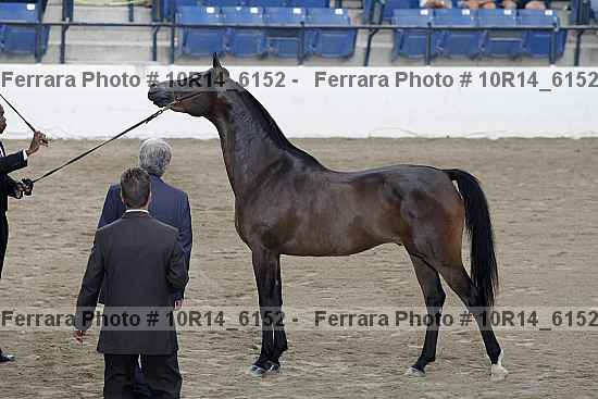Proof 10r14_6152