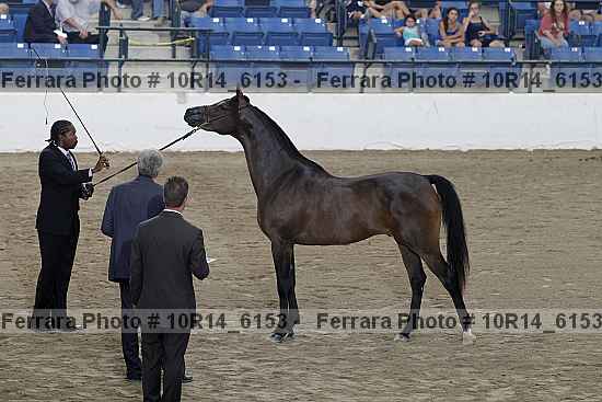 Proof 10r14_6153