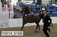 10r14_6168 proof