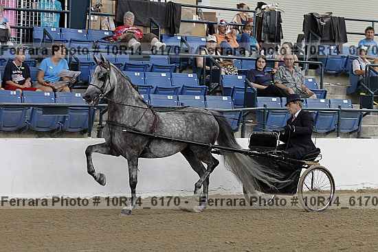 Proof 10r14_6170