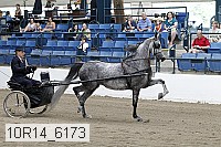 10r14_6173 proof
