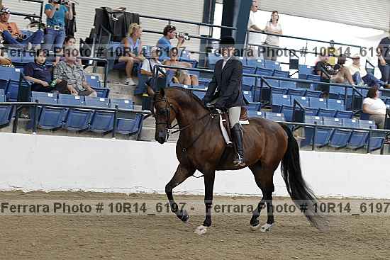 Proof 10r14_6197