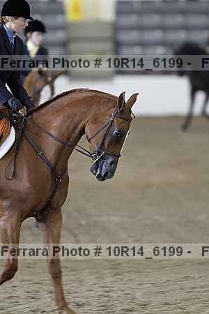 Proof 10r14_6199