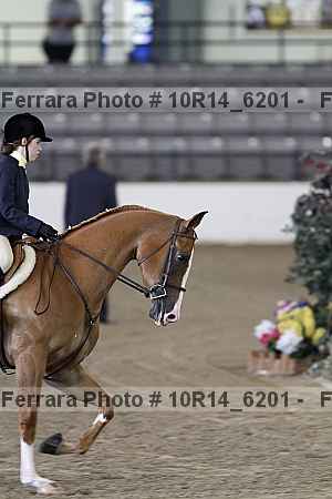 Proof 10r14_6201