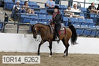 10r14_6262 proof