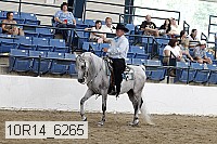 10r14_6265 proof