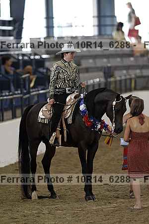 Proof 10r14_6288