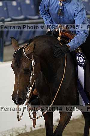 Proof 10r14_6295