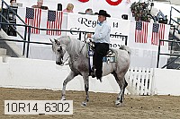 10r14_6302 proof