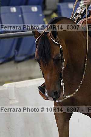 Proof 10r14_6307