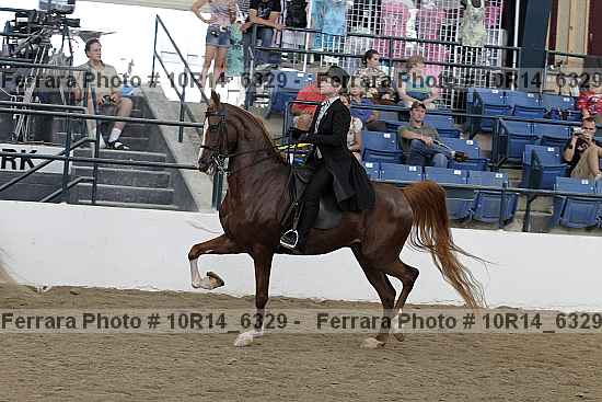 Proof 10r14_6329