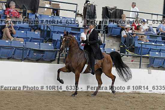Proof 10r14_6335