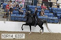 10r14_6337 proof