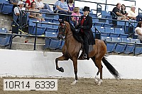 10r14_6339 proof