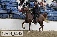 10r14_6342 proof