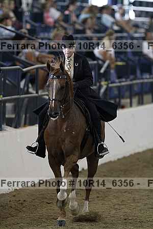 Proof 10r14_6356