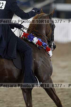 Proof 10r14_6377