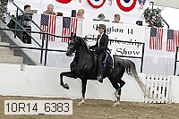 10r14_6383 proof